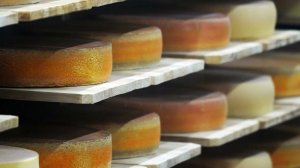 Россия впервые импортировала китайский сыр