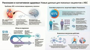 Ранолазин защищает мозг от снижения когнитивных функций у пожилых пациентов с ИБС