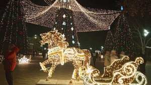 #Новогодняя ёлка в Анапе  2025-12-21