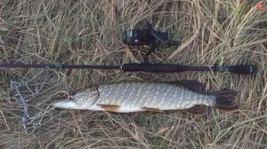 Ловля крупной ЩУКИ на Большой Силикон прямо перед ледоставом!