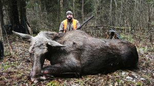 Охота НА ЛОСЯ 💥 Уверенные выстрелы...