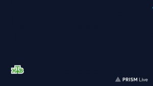 LIVE: Саша и полицейский патруль