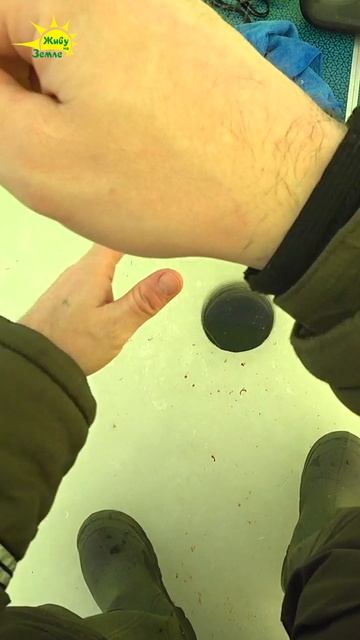 Бонус Лещ на Коромысло. Зимняя рыбалка смотреть онлайн