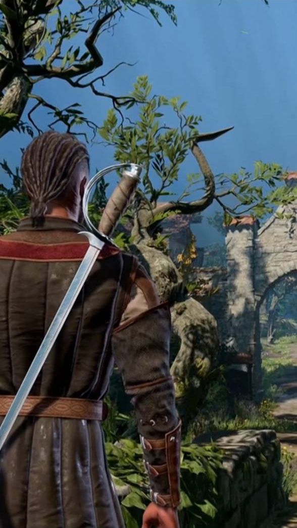 Baldur’s Gate 3 #shorts #игры #видеоигры смотреть онлайн