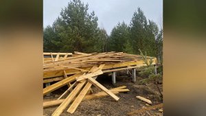 «ОБМАНУТЫЕ НАДЕЖДЫ»