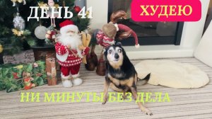22.12.25 Худею.День 41. Как белка в колесе. Что в моём холодильнике?