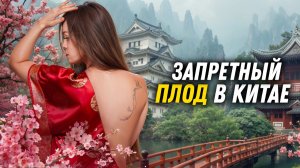 Китай скрывает правду. О таком не говорят вслух.