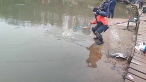 Снова пламп