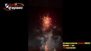 Батарея салютов, фейерверк TKB391  Барин  2025