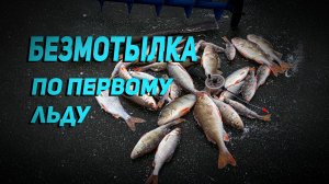 Безмотылка по первому льду