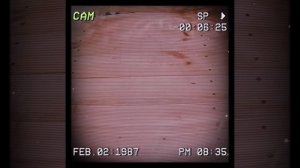 1000043224.mp4 (Собака наблюдает за лайфхаками при строительстве дома А-фрейм)