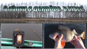 Рыбалка в отвес, с лодки, в декабре 2025! Ловля с эхолотом Практик - 6М, на балансиры! #рыбалка