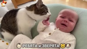 Ребята и зверята от ИИ милое видео для души и радости 👶🏻😺🐶 (11)