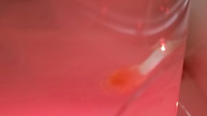 Новогодние рыбки!Всем смотреть!