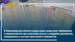 В Новосибирской области осудят обвиняемых в мошенничестве при получении выплат и подделке документов