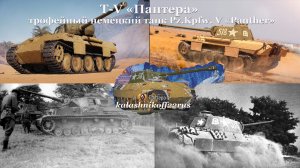 «Русская пантера» в деле.