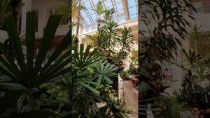 Райский уголок в DUSIT THANI PATTAYA 5*