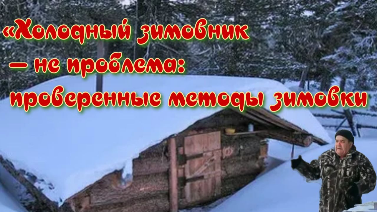 «Холодный зимовник — не проблема: проверенные методы зимовки смотреть онлайн