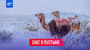 Видели когда-нибудь снег в пустыне?