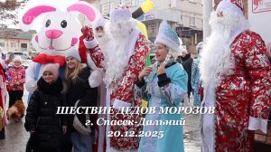 Шествие Дедов Морозов 2025. Спасск-Дальний, 20.12.2025.
