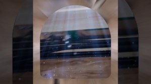 1000043238.mp4 (Собака наблюдает за лайфхаками при строительстве дома А-фрейм)