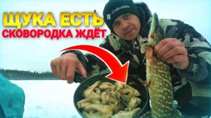 Жерлицы стреляют, щука клюёт, сковородка на готове. Рыбалка на жерлицы и мормышку.