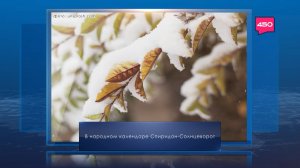 Спиридон Солнцеворот. Календарь Губернии от 25 декабря