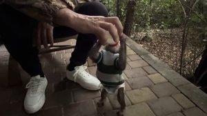 У нас нет света, но Анфиса ТАК ЧУДИТ, что не возможно не смеяться! Папина любимица)))