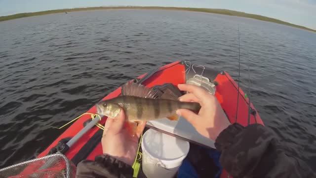 Разведка по островам на Имандре. Голодный Окунь