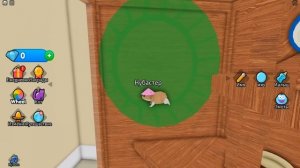 Я ПРЕВРАТИЛСЯ В ХОМЯКА в ROBLOX!