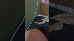 𝚔𝚊𝚔 𝚢 𝙱𝚊𝚌 𝚐𝚎𝚕𝚊