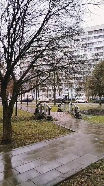 декабрь Москва 
скороновыйгод погода москва