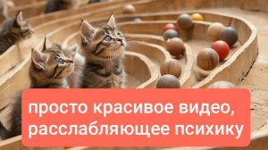 РАССЛАБЛЯЮЩЕЕ АСМР ВИДЕО