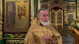 Нечаянная Радость.
Спасает нас Её Материнская молитва. Прот. Андрей Овчинников.