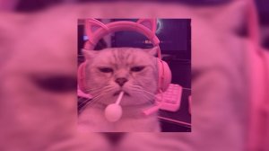 ☆плейлист популярных песен из тик тока 2025 года☆