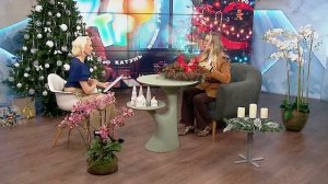 «Новое утро»: 23 декабря 2025 года