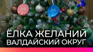 Губернатор Александр Дронов принял участие во Всероссийской акции «Ёлка желаний»