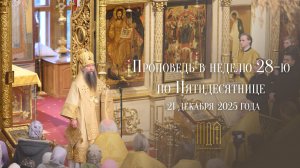Проповедь в Неделю 28-ю по Пятидесятнице 2025