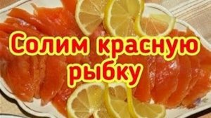 Солим красную рыбку к праздничному столу (Архив)