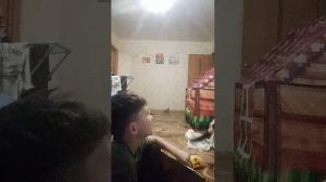 мы страдаем фигнёй