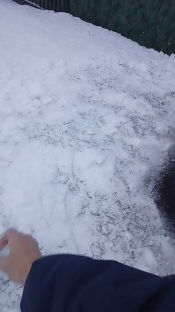 Горячей водой на лобовое.