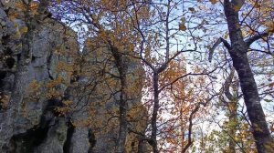 Урал. Синие скалы.