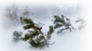 Разгулялась вьюга   стихи С. Есенин ; музыка и исполнение А. Михайлов