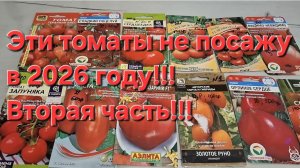 Эти томаты не посажу в 2026 году!!!Вторая часть!!!