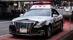 Девушку арестовали за расчленение младенца, обнаруженного в морозилке