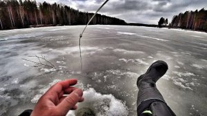 РАСКАЧАЛ ЛУНКУ! ОКУНИ НА КАЖДОЙ ПРОВОДКЕ. РЫБАЛКА НА БЕЗМОТЫЛКУ