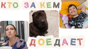 Такого Мы не ОЖИДАЛИ#сюрпризы#подарки#