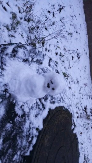 делаю всякое 3