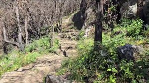 Пещера Бабаджи. Осень 2025. Сунита и Киран