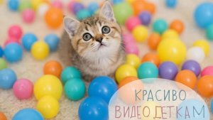 СКАЗКИ ДЕТЯМ | КРАСИВОЕ ВИДЕО ДЕТЯМ